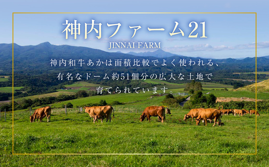 神内和牛あか ヒレステーキ 約600g 5枚入り