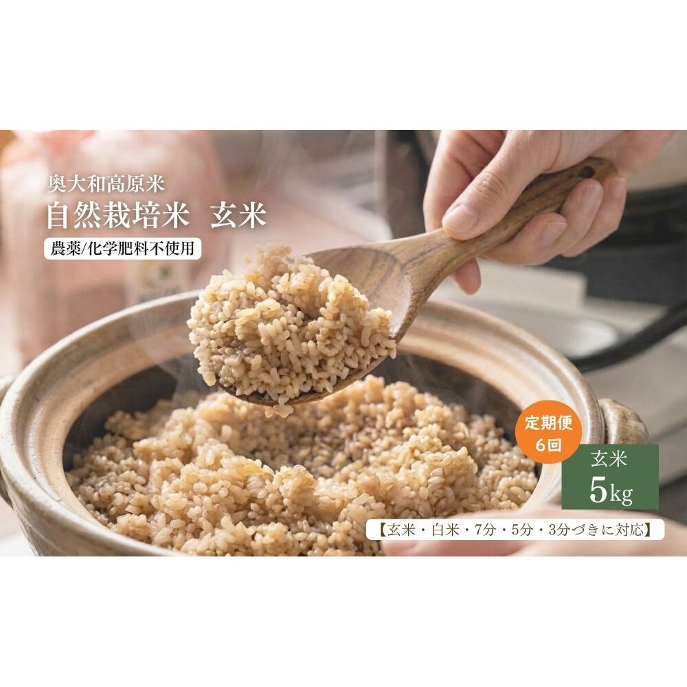 【定期便6回】【令和8年産】自然栽培米 5kg｜選べる 玄米・分づき・白米／ 無農薬 米 お米 一等米 こめ コメ 国産 新米 玄米 農家やまおか 除草剤 肥料不使用 奈良県 宇陀市 ふるさと納税 
