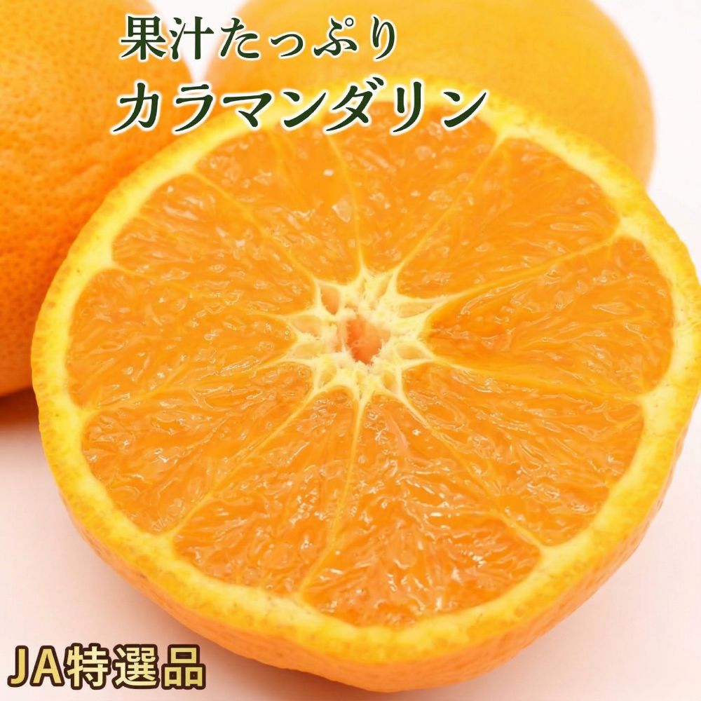 【ふるさと納税】 【2026年4月下旬ごろから順次発送】JA特選品 カラマンダリン 赤秀~青秀 約5kg みかん 蜜柑 柑橘 果物 くだもの フルーツ ブランド 愛媛 松山 お取り寄せ グルメ ギフト 人気 おすすめ 新着