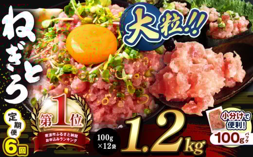 【 定期便 6回 】ねぎとろ 1200g（100g×12袋） | 清幸丸水産 大人気 手巻き寿司 海鮮丼 マグロのユッケ まぐろ 海鮮 小分け 100g パック 千葉県 君津市