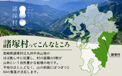 【返礼品なしの寄付】宮崎県諸塚村 50,000円｜寄附 寄付 応援寄附 支援 支援寄付金 支援金 返礼品なし 純粋寄附 寄付のみ ふるさと納税 もろつか 宮崎県 諸塚村 5万円 morotsuka-0
