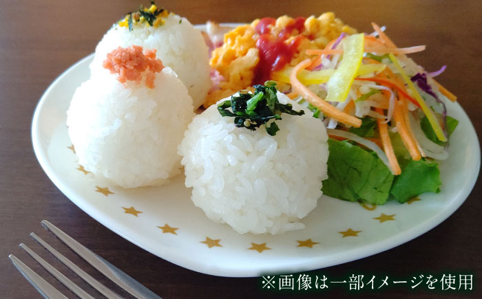 がばいＵ米（うまい）無洗米 10kg（5kg×2袋） / 無洗 国産 九州 / 佐賀県 / 大塚米穀店 [41ANAD004]