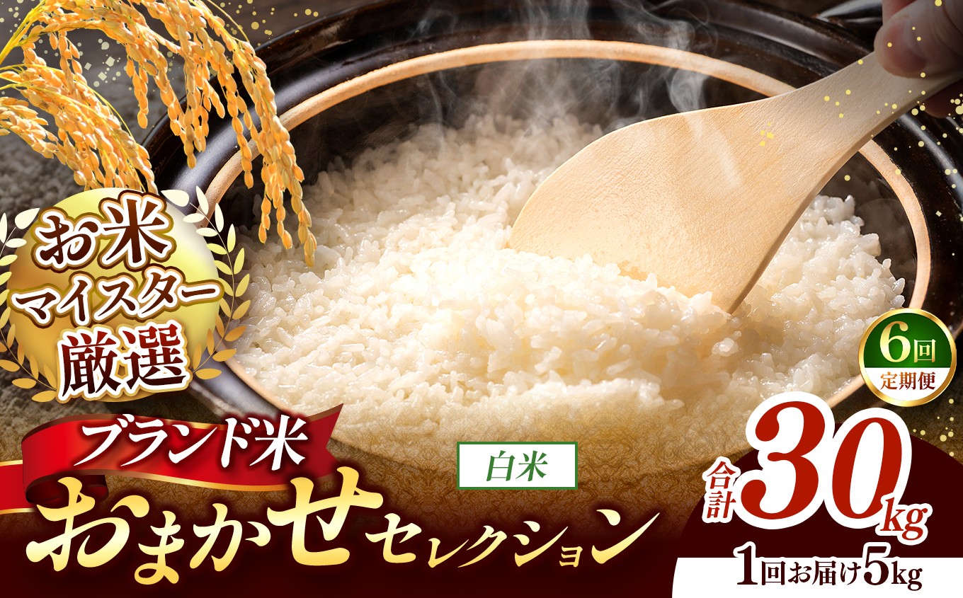 
                  【 令和7年産 】おまかせ セレクション 【定期便6回】熊本県産 白米  ＜ひのひかり / 森のくまさん / くまさんの輝き ＞ 5kg  | 単一銘柄 米 単一米 お米 こめ 小分け 人気 コメ お米 5kg 10kg 15kg 20kg 25kg 30kg 定期便 3回 6回 12回 ブランド米 菊池川流域 家庭用 送料無料 熊本 くまもと 熊本県 和水 和水町 人気 ごはん
                