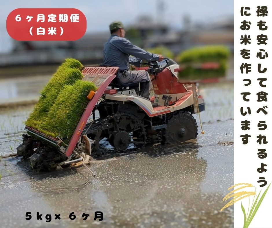 【ふるさと納税】【6回定期便】「ひのひかり」白米 玄米 可 5kg × 6ヶ月 連続でお届け 30kg 奈良県 三宅町 志埜米穀店 ヒノヒカリ 冷めてもおいしい もちもち 堆肥ミネラル栽培米
