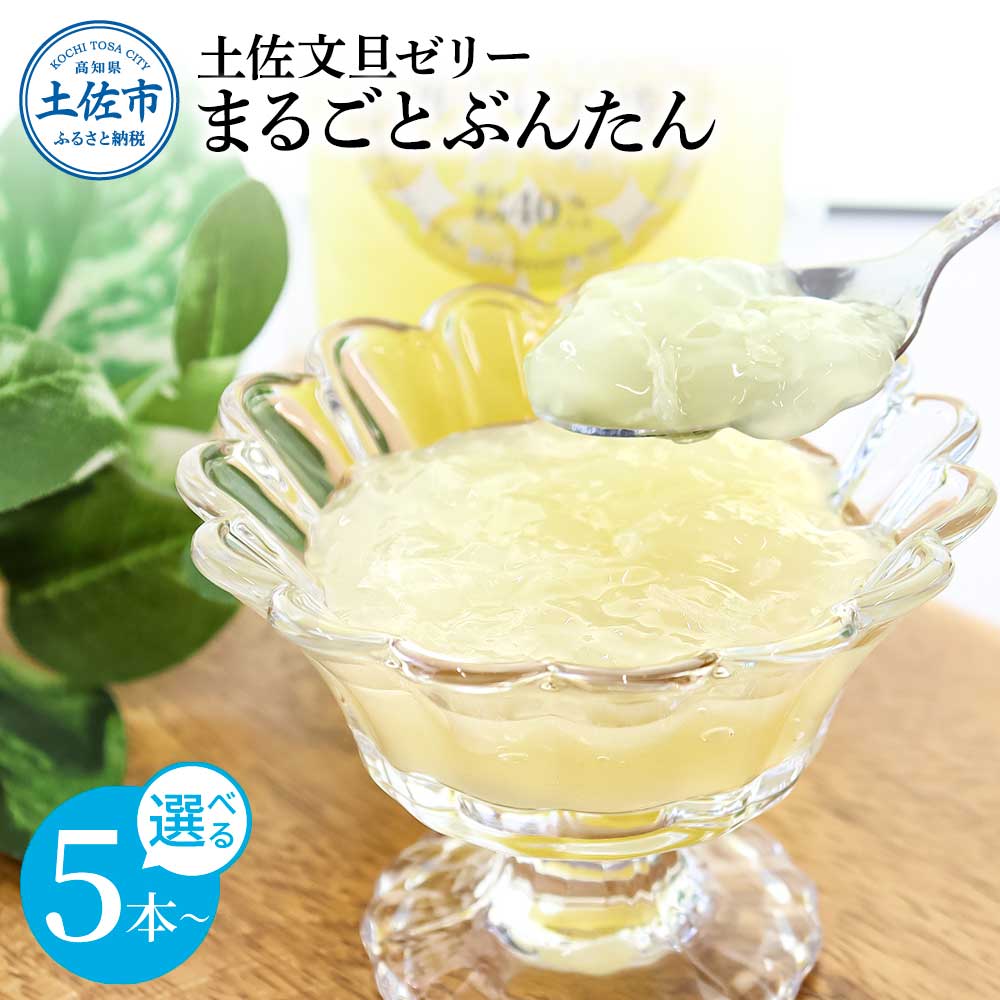 【ふるさと納税】土佐文旦ゼリー まるごとぶんたん 5～10本セット ぜりー ブンタン ぶんたん フルーツ 果物 柑橘 みかん お菓子 おかし おやつ デザート スイーツ ゼリー パウチタイプ 果物ゼリー ギフト おいしい 爽やか シャーベット お取り寄せ 常温 配送 高知県 返礼品