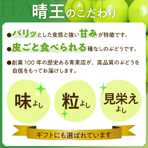 【2024年発送分】岡山県産 シャインマスカット晴王 ２kg