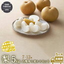 【ふるさと納税】【定期便】梨 5kg（7〜12個）品種移り変わりセット【令和6年8月から5か月連続で発送】（茨城県共通返礼品：石岡市産） なし ナシ 果物 フルーツ 茨城県産