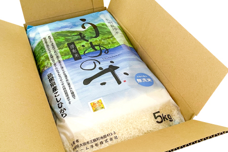 さんべ浮布米（無洗米）5kg【令和7年産 お米 コシヒカリ 5kg こしひかり 無洗米 2025年産 特別栽培米 米 おこめ こめ うるち米 浮布米 減農薬 減化学肥料 美味しまねゴールド認証 島根県