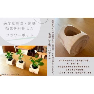 ふるさと納税 小松市 「年輪の力」生活雑貨 杉間伐材のフラワーポット |  | 01