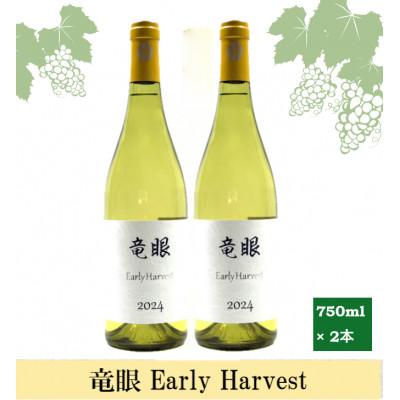 ふるさと納税 長野市 ワイン 竜眼 Early Harvest 750ml×2本