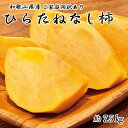 【ふるさと納税】【ご家庭用わけあり】和歌山秋の味覚　平核無柿（ひらたねなしがき）　約7.5kg　※2024年10月上旬頃〜2024年10月下旬頃順次発送（お届け日指定不可）