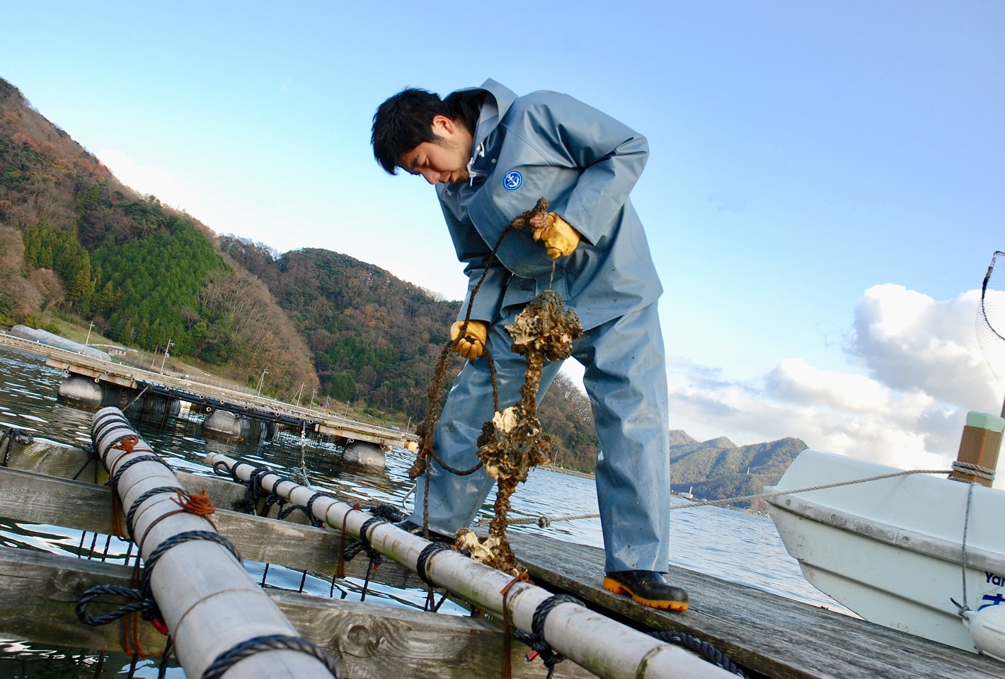 【2026年2月中旬以降発送】殻付き 養殖 真牡蠣 4kg 加熱用 朝どれ直送！先行予約 岡山八朗兵衛商店 : 二枚貝 牡蠣 かき オイスター 殻付き牡蠣 生牡蠣 活牡蠣 カキ 海鮮 魚介 海産物 海