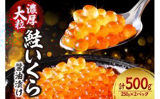 濃厚・大粒！鮭いくら醤油漬け500ｇ（250g×2） 小分け 魚卵 イクラ ikura おすすめ お取り寄せ グルメ お祝い 水産 海鮮 冷凍 おつまみ おかず 北海道 札幌市
