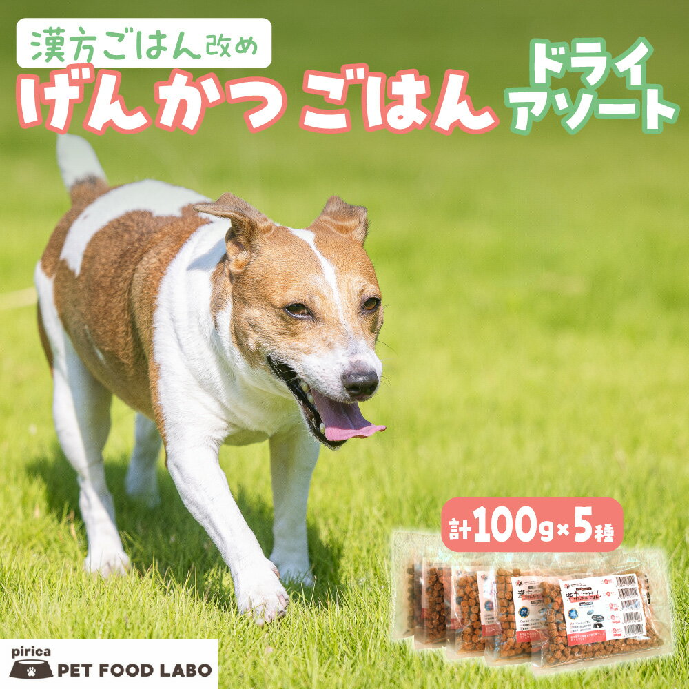 【ふるさと納税】 ペットフード 犬 げんかつごはん 漢方ごはん 木 火 土 金 水 ドライアソート 100g×5種 セット 愛犬用 ノンオイルコーティング 食養生 薬膳 総合栄養食 安心素材 北海道食材 漢方食材 着色料 保存料 酸化防止剤不使用 北海道 札幌市