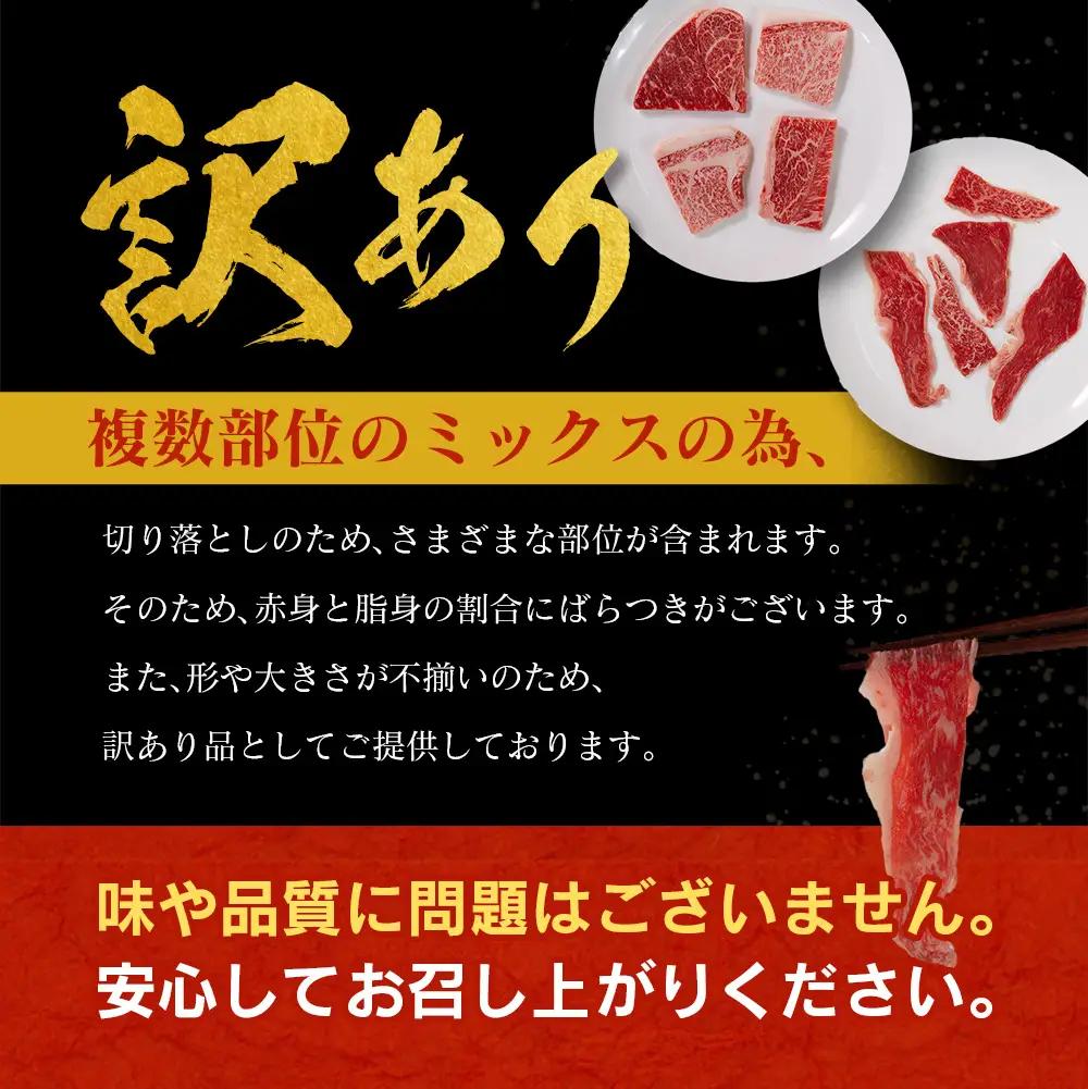 【ふるなびWEEK対象】10日以内出荷 訳あり 宮崎県産 黒毛和牛 切り落とし 焼肉 計1kg C474-Y-10D