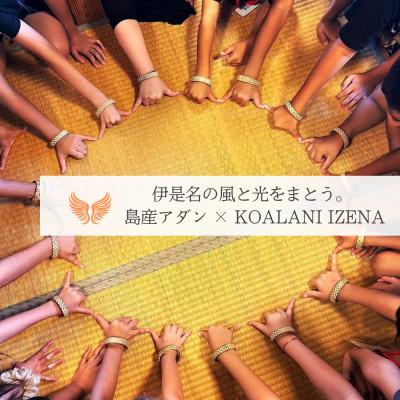 ふるさと納税 伊是名村 伊是名島産アダン葉のバングル「島結」Sサイズ|KOALANI IZENA |  | 03