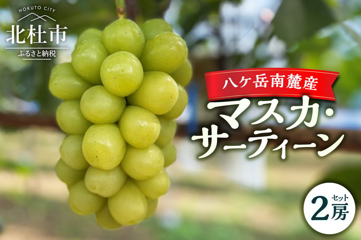 
            【2025年先行予約】八ケ岳南麓産「マスカ・サーティーン」  2025年 先行予約 ぶどう 2房 セット 約1kg 期間限定 数量限定 新品種 葡萄 ブドウ フルーツ 果物 弾力 大粒 甘い 山梨県 北杜市 八ヶ岳南麓
          