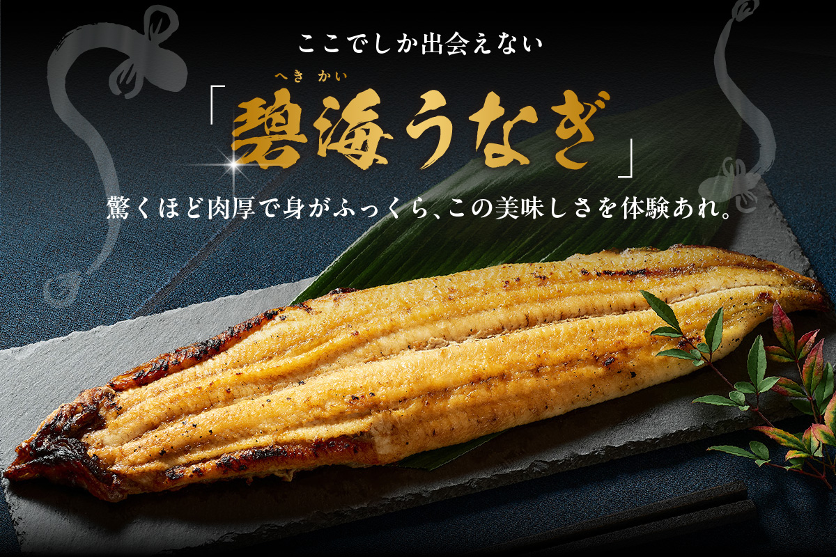 【土用の丑の日までにお届け】三河高浜産三代目養鰻家の白焼きうなぎ 特大2尾（350ｇ以上）_74-379-ｄ