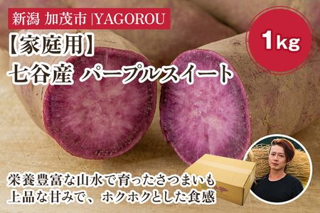 【2025年先行予約】【家庭用】パープルスイート 1kg（A品・B品混在） 新潟県加茂市七谷産 さつまいも《11月下旬〜順次発送》 サツマイモ お芋 焼き芋 スイートポテト 野菜 根菜 低温熟成 加茂市 YAGOROU ヤゴロウ