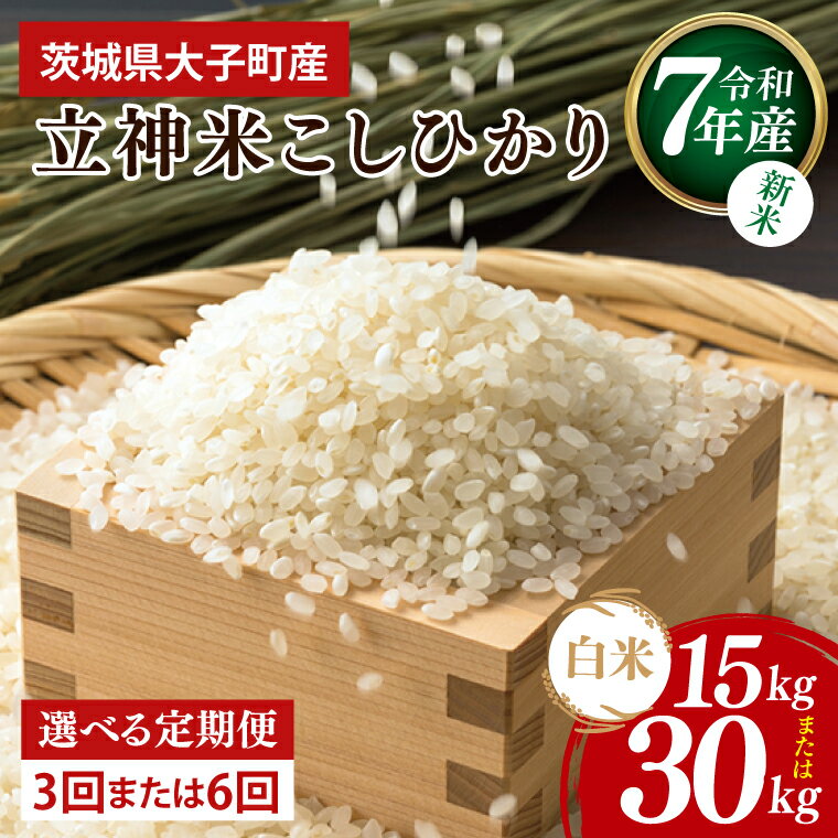 【ふるさと納税】【選べる配送回数】【3回・6回定期便】【新米】令和7年産 立神米こしひかり（白米）5kg ｜茨城県 大子町 コシヒカリ 米 コンテスト 受賞 生産者 大子産米 産地直送（BT070）