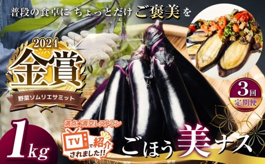 【定期便3回】野菜ソムリエサミット金賞「ごほう美ナス」 約1kg | 野菜 やさい 茄子 なす  ナス 野菜ソムリエ サミット 金賞 ごぼう美ナス きんしょう 受賞 ご褒美 とろとろ ふるさと納税  栃木県 真岡市 送料無料