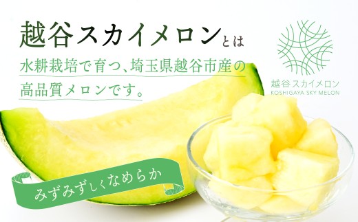 メロン めろん スカイメロン すかいめろん メロン めろん スカイメロン すかいめろん メロン めろん スカイメロン メロン