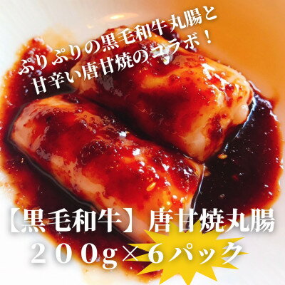 【ふるさと納税】【黒毛和牛】唐甘焼丸腸200g×6pc【配送不可地域：離島】【1643901】