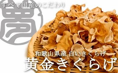 希少な高級食材 和歌山県産 無農薬 黄金きくらげ 乾燥（ホール）60g