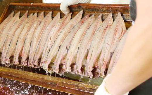 【6ヶ月定期便】 越田の干物 さば 6枚×6回 合計36枚 干物 鯖 サバ 魚 お魚 さかな 魚介類