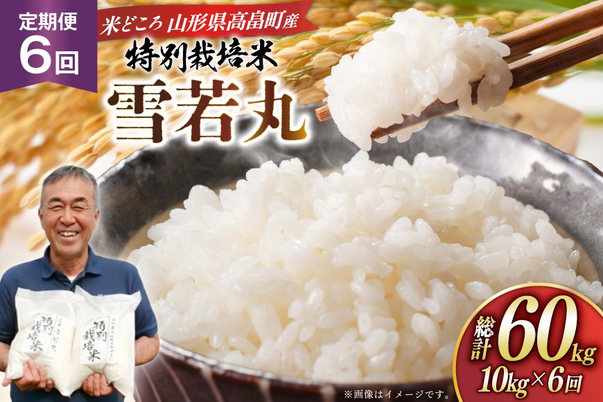 米 定期便 6回 令和8年 雪若丸 10kg 6回 計60kg [渡部ファーム 山形県 高畠町 tk06ays810046] お米 白米 精米 ごはん ご飯 ブランド米