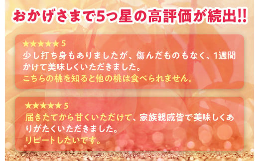 透過式光センサー川中島白桃 特秀5kg相当 15玉～18玉＜ ふくしま未来農業協同組合 ＞ | ふくしま 桃 福島 もも 国見 モモ ※2025年8月中旬頃に順次発送予定 ※沖縄・離島への配送不可