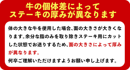 日本一の牛肉！鹿児島県産黒毛和牛ロースステーキ3枚セット(3枚・計約600g) 黒毛和牛 ステーキ 冷凍【ナンチク】B-1-02