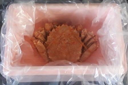 【北海道根室産】毛蟹700g×1尾 C-66016