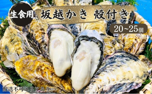 
牡蠣 生食用 坂越かき 殻付き 20～25個[ 生牡蠣 真牡蠣 かき カキ 冬牡蠣 ]
