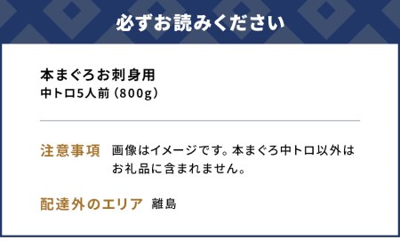 本まぐろ お刺身用 中トロ5人前(800g) 鮪 海鮮丼 刺し身 刺身 盛り合わせ 冷凍 魚の刺身 大分県産 九州産 津久見市 国産【tsu0003011】