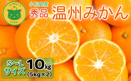 【2025年11月順次発送】 みかん 秀品 温州みかん10kg  みかん みかん みかん みかん みかん