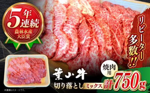 葉山牛 焼肉用 切り落とし ミックス ( 約750g×1パック ロース モモ カルビ 等 ) 国産 和牛 牛肉 切り落とし 黒毛和牛 葉山牛 焼肉 やきにく 食べ比べ A5 牛肉 焼肉セット 牛肉 葉