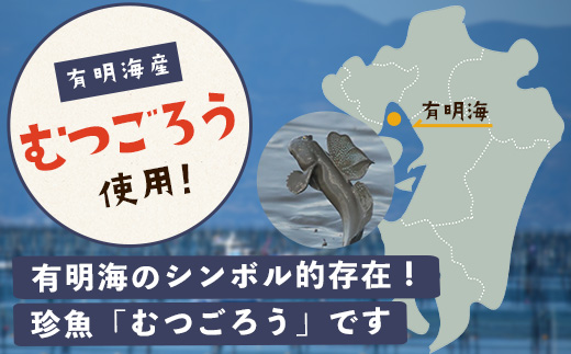 鹿島市産　無添加　むつごろうだし　5パックセット　B-759