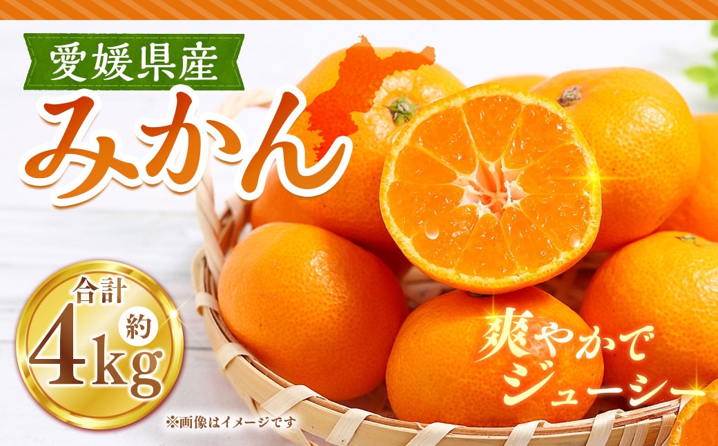 
                  みかん 約4kg ミカン くだもの 果物 フルーツ 柑橘 柑橘系 柑橘類 果実 果汁 果肉 国産 【 2026年11月上旬～12月下旬発送予定 】 ( 1119 )
                