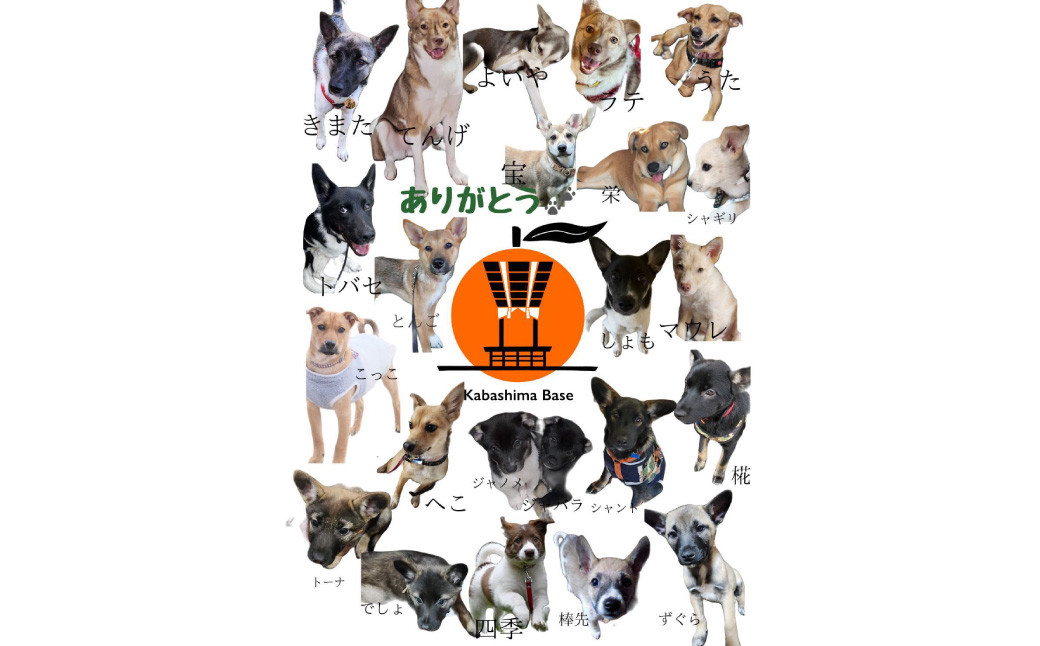 長崎漁港発！長崎近海産旬の鮮魚セット (中) ／ 魚 魚介 鮮魚 海鮮 海産物 刺身 セット 地魚 詰め合わせ 詰合せ つめあわせ 大将農園 長崎県 長崎市 【2025年9月下旬～12月下旬迄発送予定