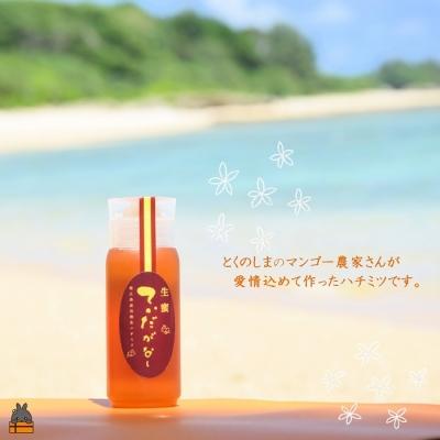 ふるさと納税 徳之島町 徳之島産完熟“生”ハチミツ「てぃだがなし」(200g×1本) |  | 02