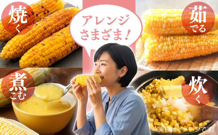 【先行予約】【2027年5月下旬より順次発送】スイートコーン(ドルチェドリーム)約4kg【なかむら農園】 [BHCJ002]