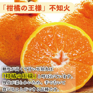 デコポン 不知火 約 5kg L 18個 または 2L 12個 みかん 蜜柑 柑橘 ジュース フルーツ 果物 デザート ケーキ アイス シャーベット ゼリー スイーツ お菓子 ギフト 送料無料 徳島県