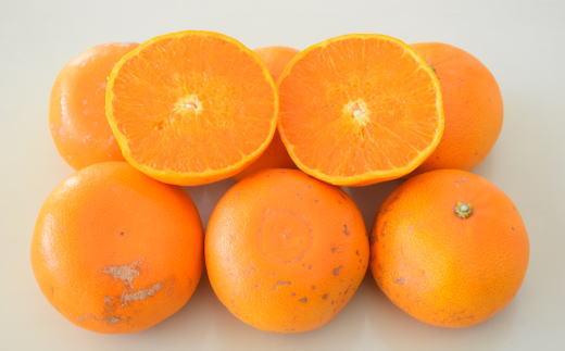 (訳あり・ご家庭用)一度は食べていただきたい「有田産のせとか」約4kg～5kg★2027年2月下旬頃より順次発送［TM210］