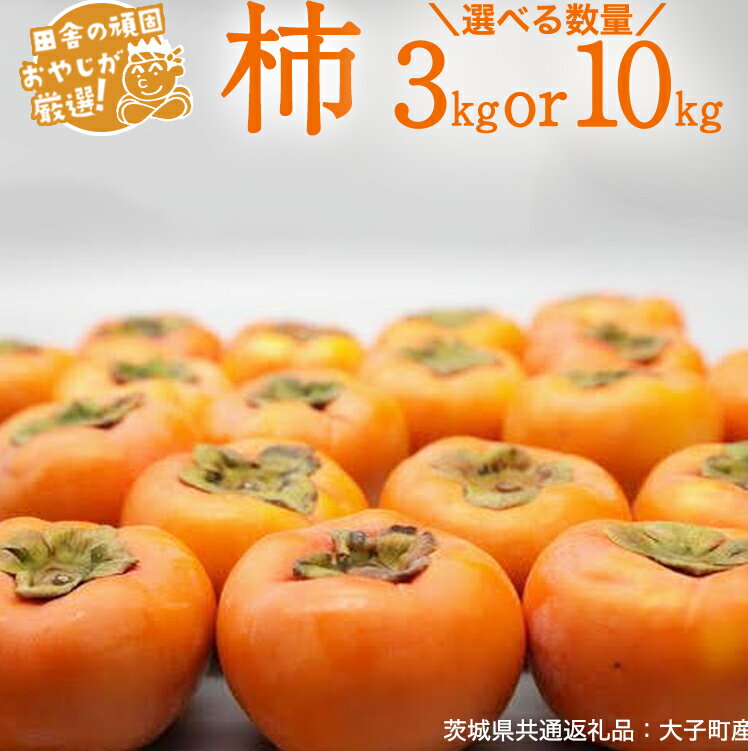 【ふるさと納税】＼ 選べる内容量 ／柿 3kg（15〜18個）～10kg（30〜36個）【10月より発送開始】（茨城県共通返礼品：大子町産）柿 かき カキ 果物 フルーツ 茨城県産
