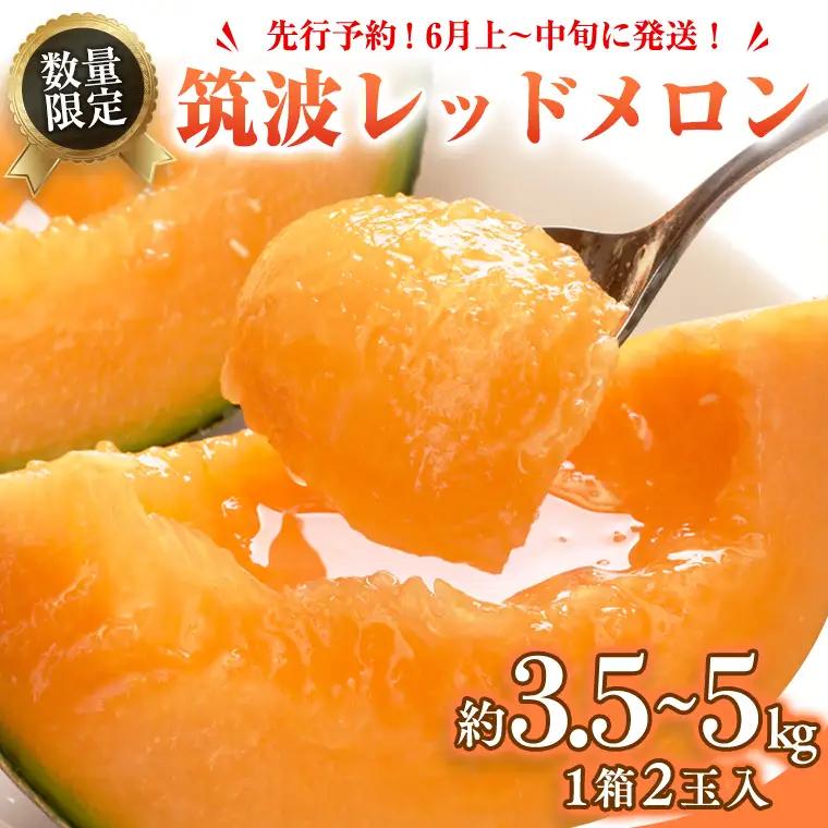 メロン 筑波レッドメロン 1箱 2玉 約3.5~5kg 八千代町産 先行予約