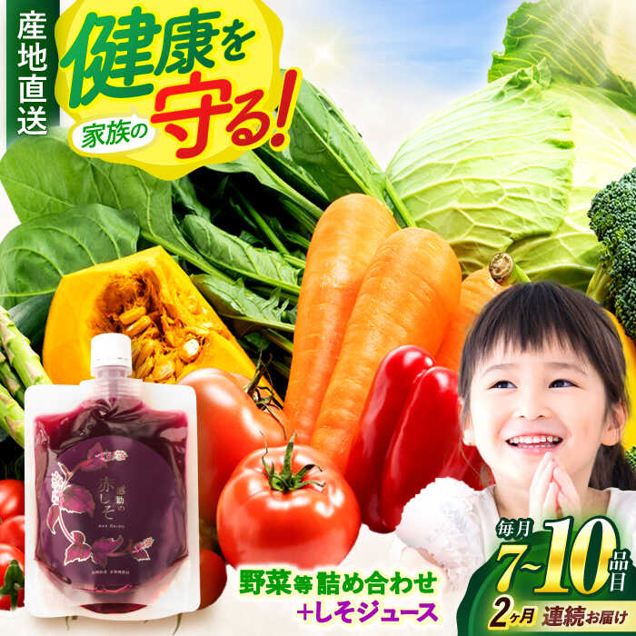 【ふるさと納税】【全2回定期便】野菜・果物・きのこ詰め合わせ 7〜10品目 / 野菜 やさい 果物 くだもの フルーツ ふるーつ きのこ 旬 新鮮 セット / 諫早市 / 松尾農園 [AHAY006]