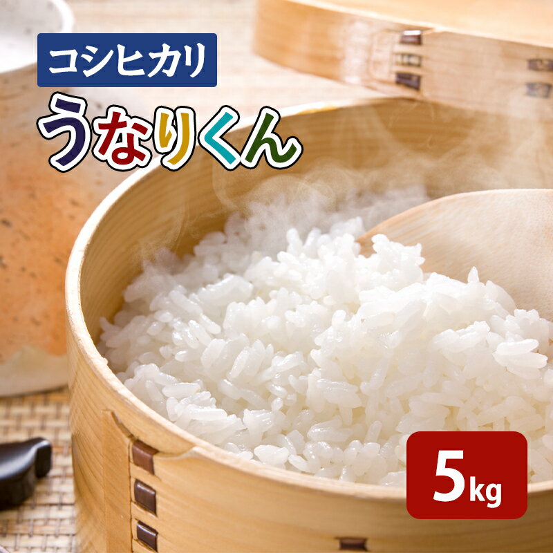 【ふるさと納税】米【令和7年度産】「コシヒカリ」うなりくん 5kg 白米 精米 米 こしひかり 成田市 千葉県