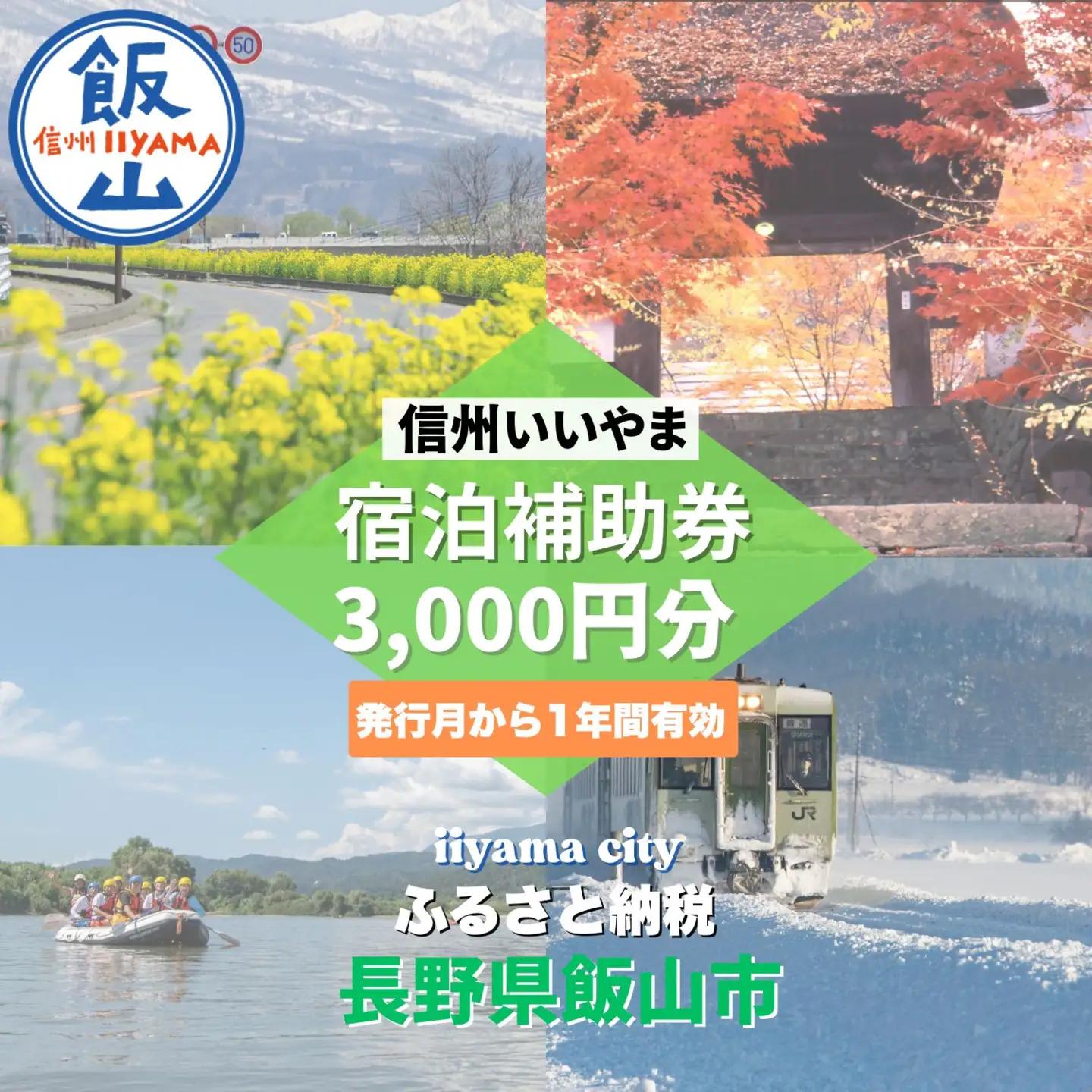 信州いいやま 宿泊補助券 3,000円分 信州飯山 宿泊補助券 T-1