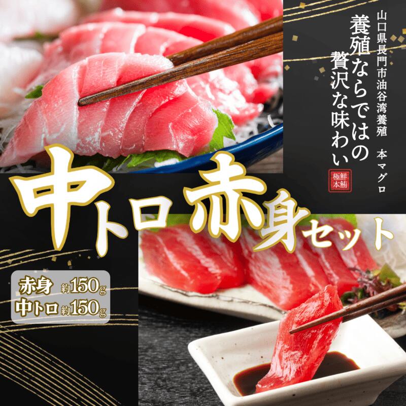 【ふるさと納税】油谷産養殖本マグロ 赤身 中トロ 柵セット【マグロ 刺身 冷凍 柵 中とろ さく 中トロ 赤身 まぐろ 鮪 さしみ 急速冷凍 長門市】